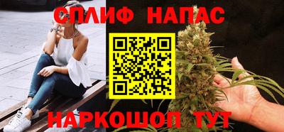 spice Гатчина