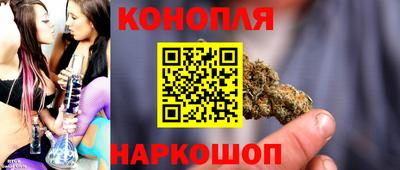 spice Гатчина
